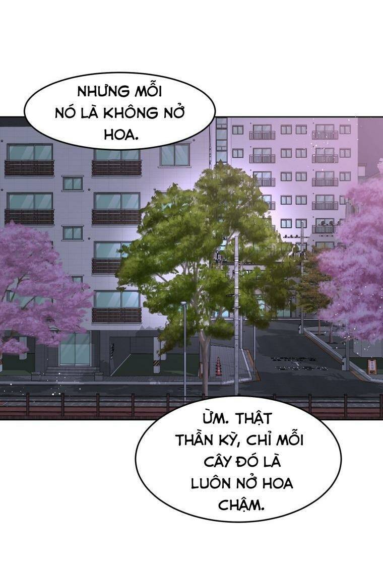 Bí Mật Highteen Chapter 15 - Trang 4