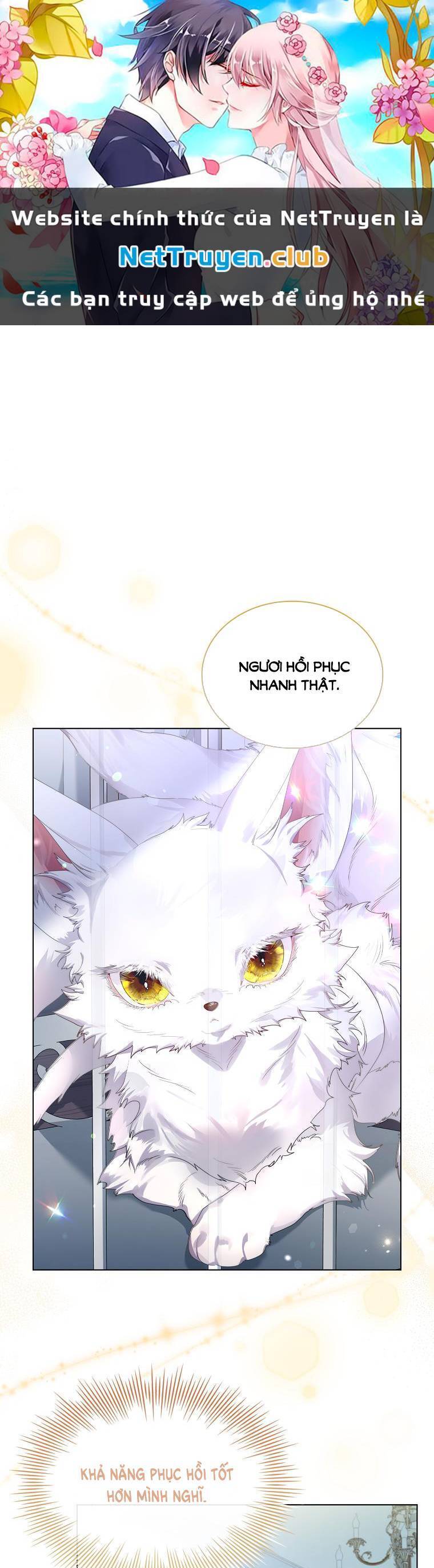 Tôi Đã Nuôi Hồ Ly Sai Cách Rồi Chapter 3.2 - Next Chapter 4.1