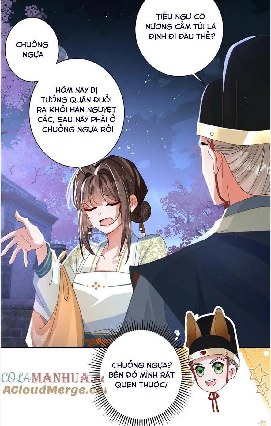 Phượng Hoàng Quy Hồi Chapter 15 - Trang 4