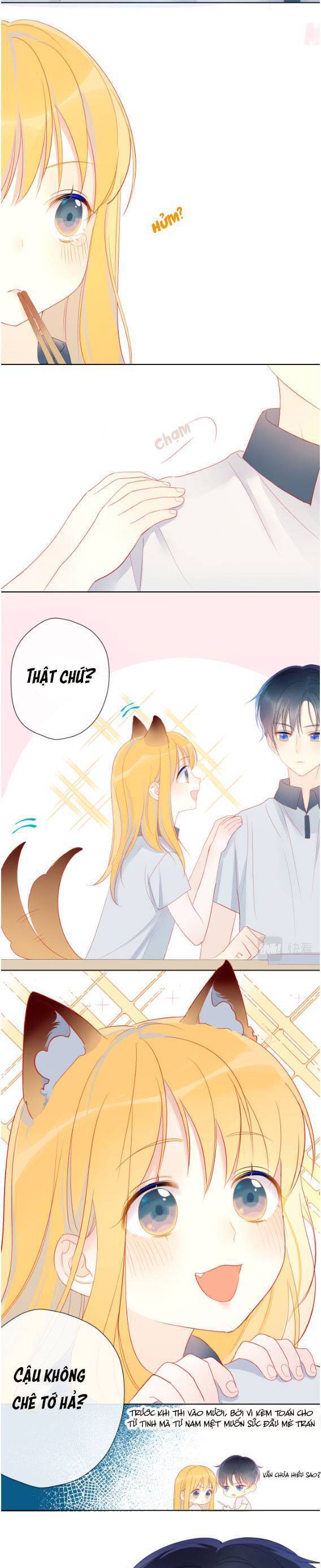 Ngôi Sao May Mắn Dành Cho Tôi Chapter 2 - Trang 3