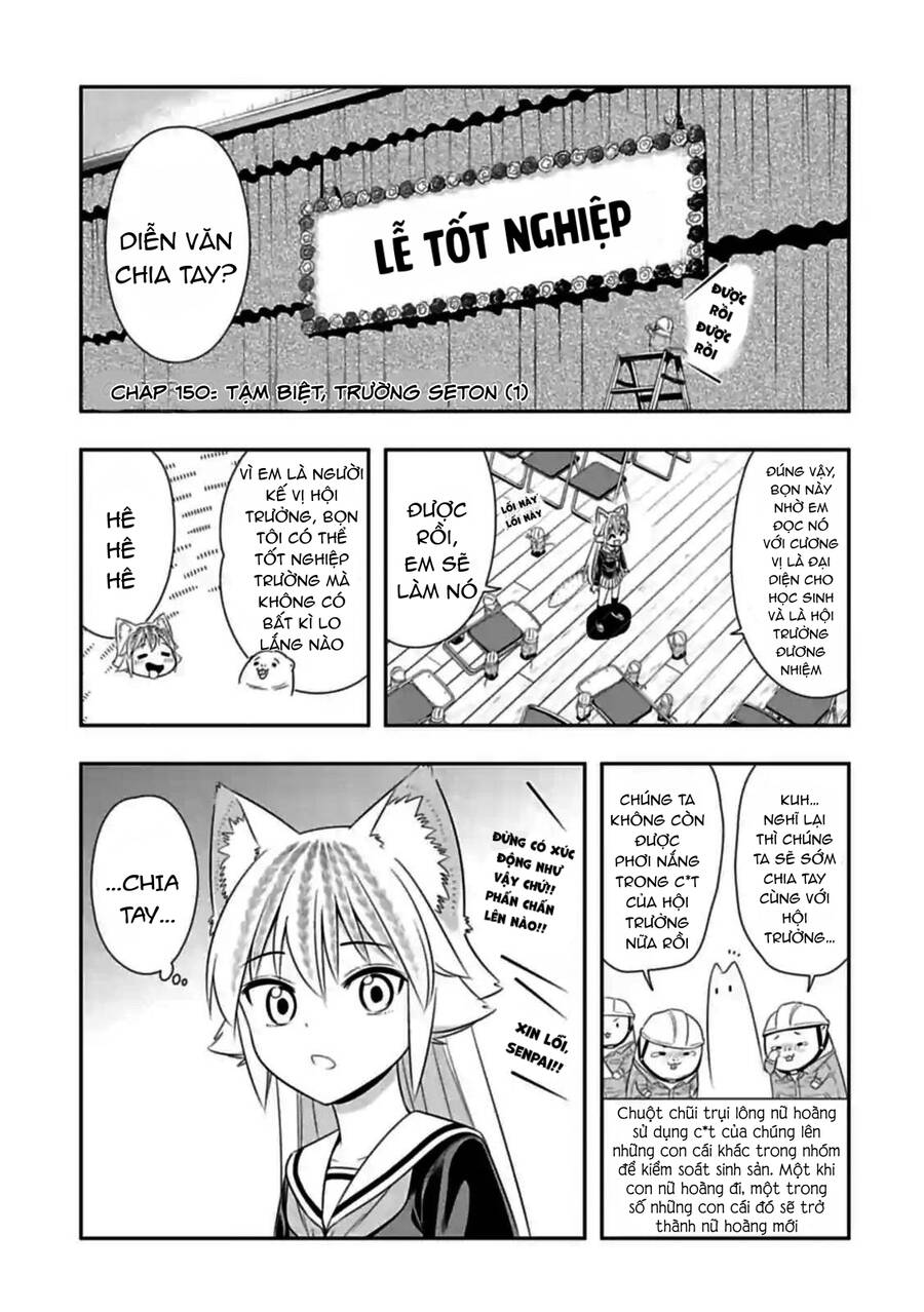 Murenase! Shiiton Gakuen Chapter 150 - Next Chapter 151