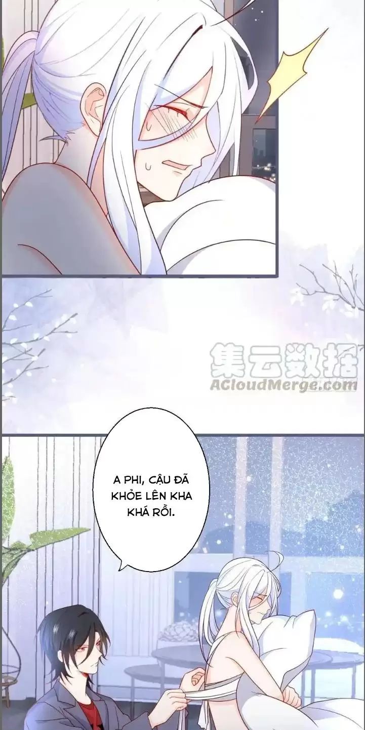 Hắc Đạo Này Có Chút Manh Chapter 239 - Next 