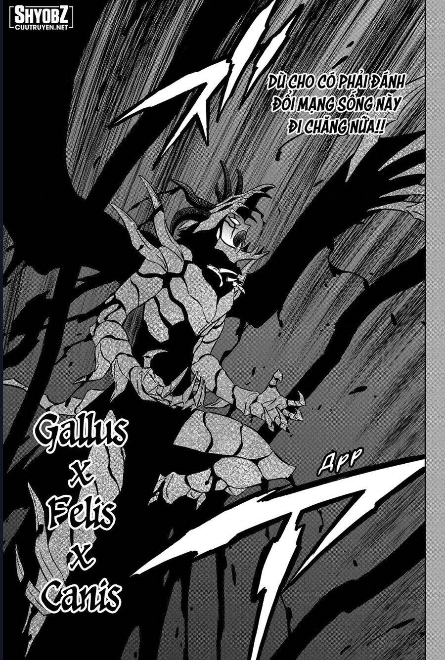 Black Clover - Thế Giới Phép Thuật Chapter 375 - Next Chapter 376