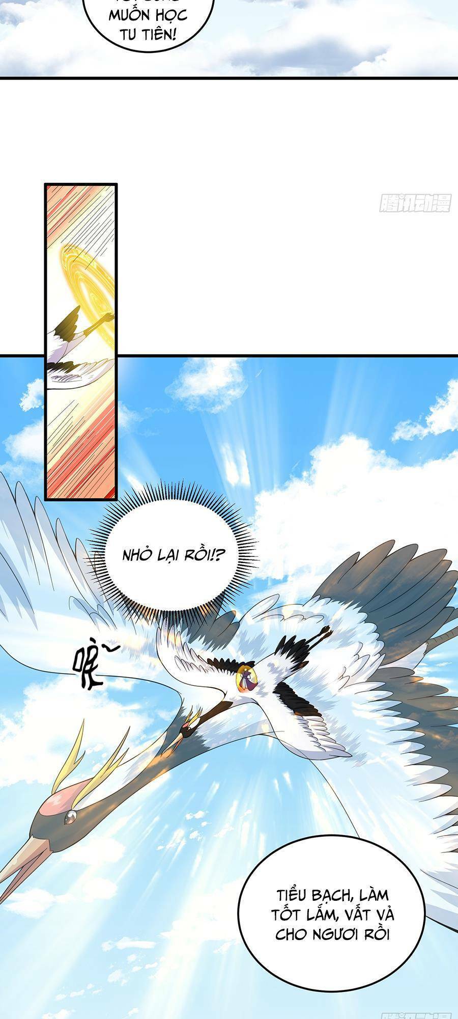 Quốc Thuật? Bần Đạo Không Biết!bần Đạo Chỉ Biết Lôi Pháp Chapter 5 - Next Chapter 6