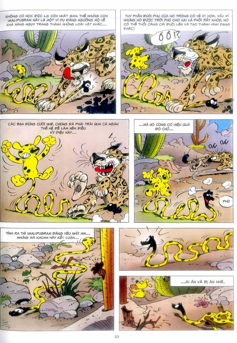 Marsupilami Chapter 4 - Next Chapter 5