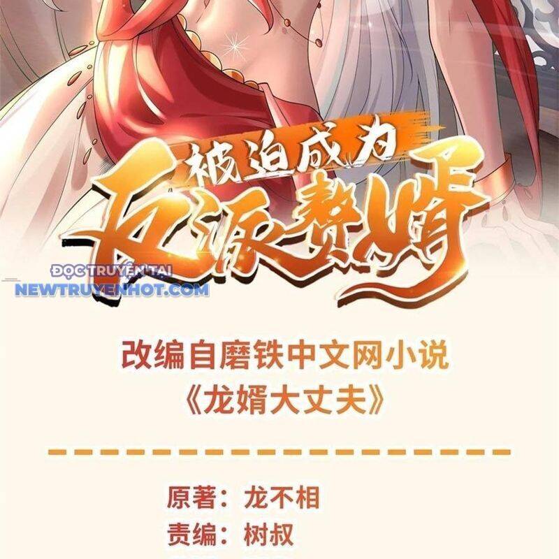 người ở rể bị ép thành phản diện Chapter 642 - Next Chapter 643