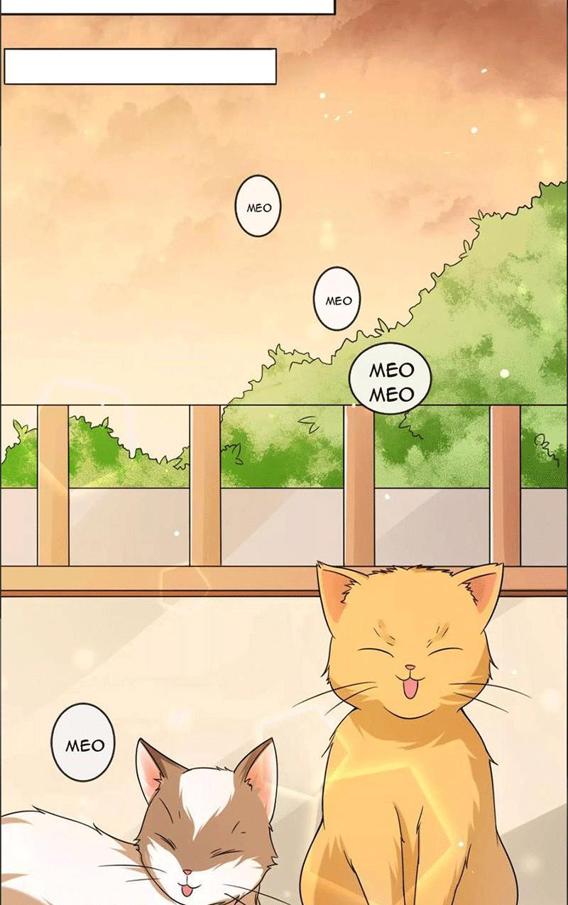 Bạn Cùng Bàn Của Tôi Nổi Tiếng Là Mèo Chapter 1 - Trang 2