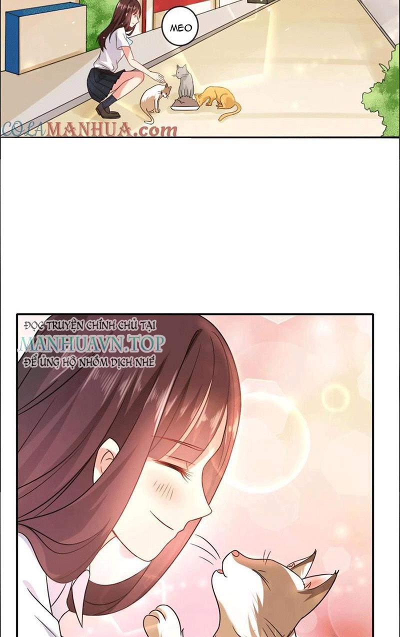 Bạn Cùng Bàn Của Tôi Nổi Tiếng Là Mèo Chapter 1 - Trang 2