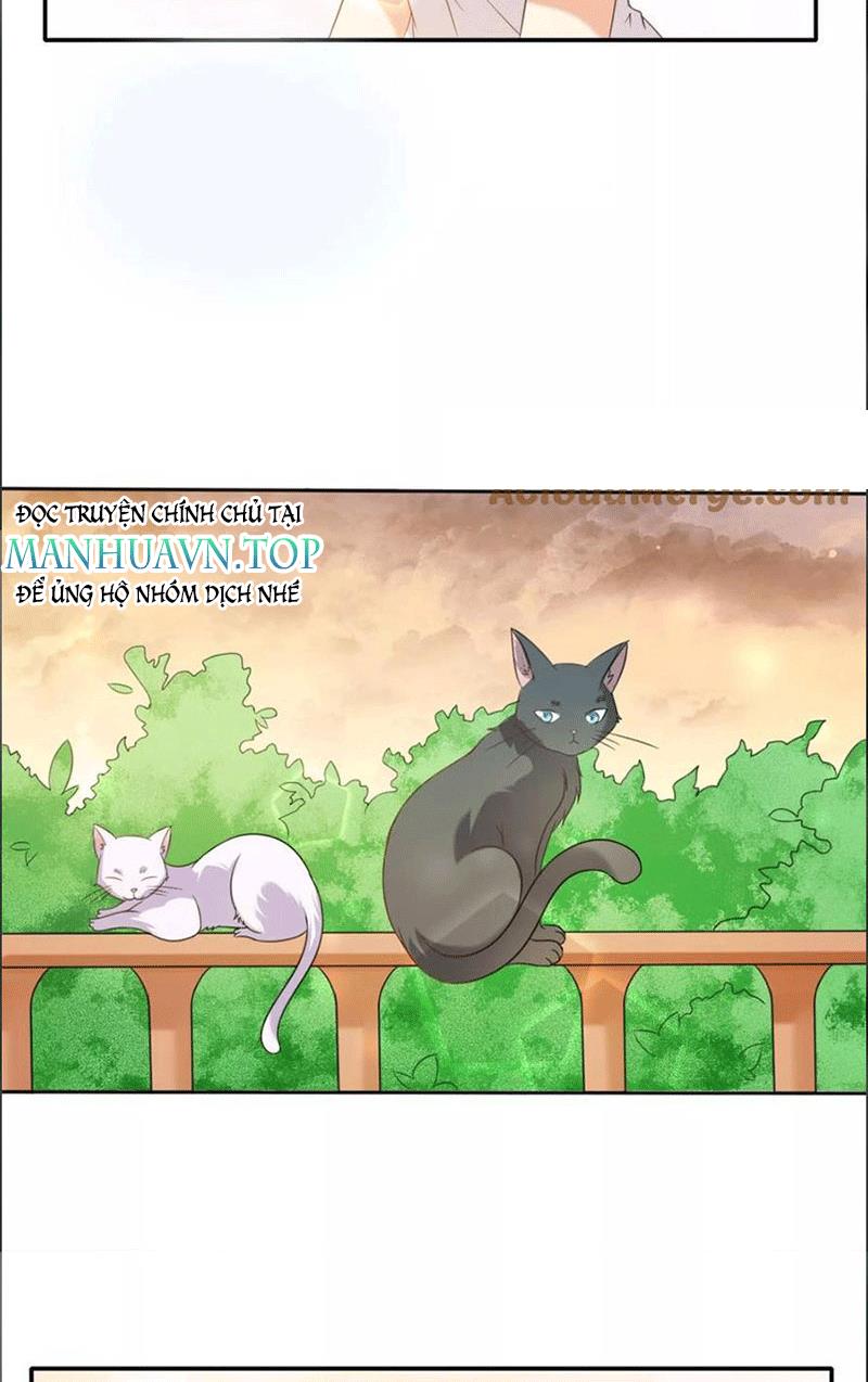 Bạn Cùng Bàn Của Tôi Nổi Tiếng Là Mèo Chapter 1 - Trang 2