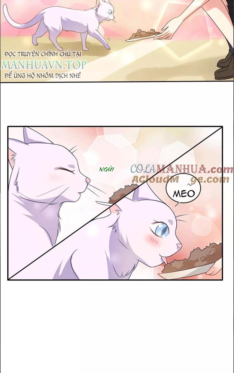 Bạn Cùng Bàn Của Tôi Nổi Tiếng Là Mèo Chapter 1 - Trang 2