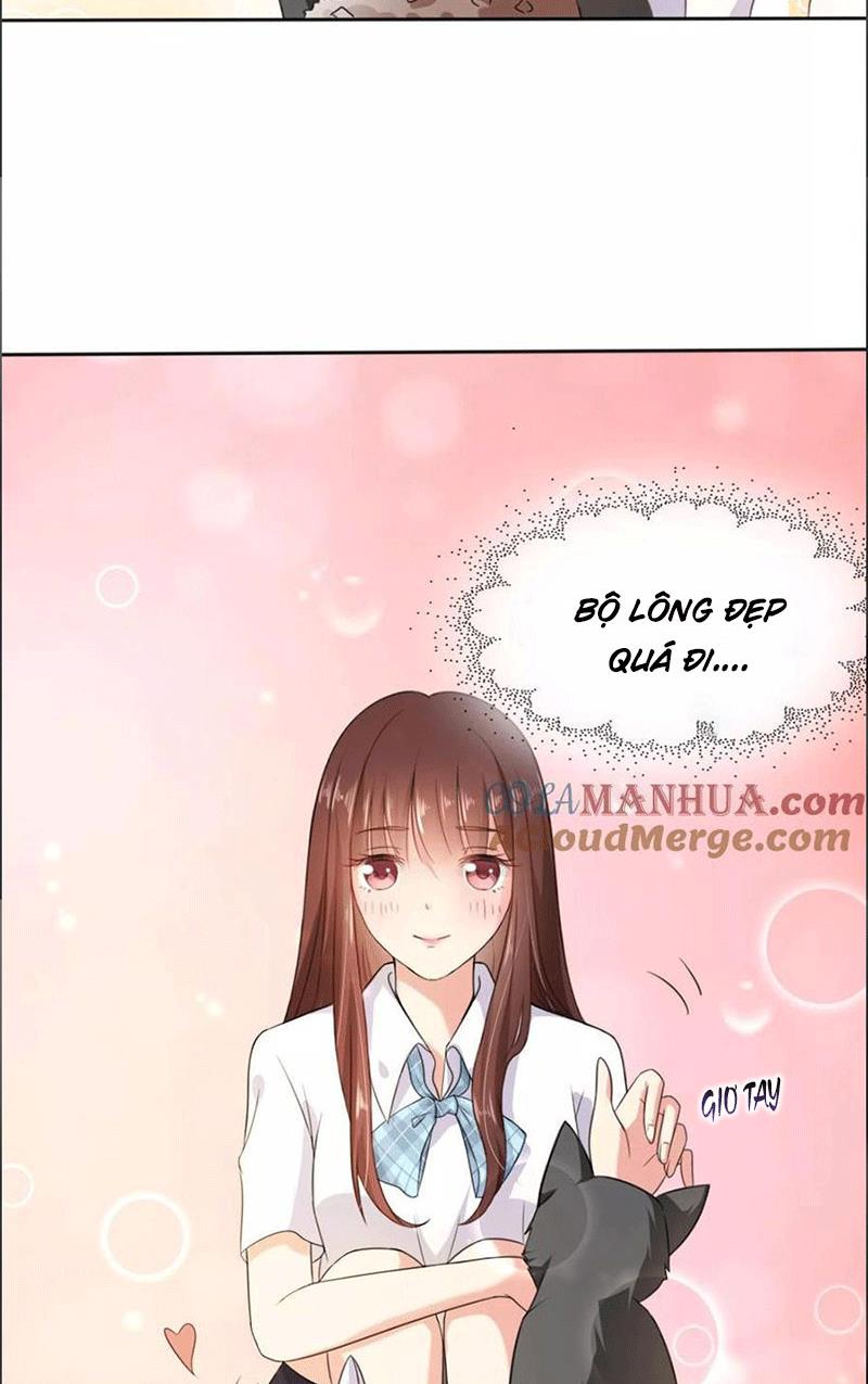 Bạn Cùng Bàn Của Tôi Nổi Tiếng Là Mèo Chapter 1 - Trang 2