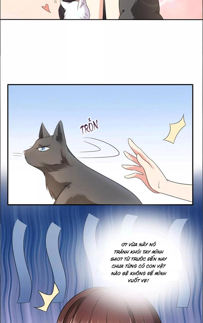 Bạn Cùng Bàn Của Tôi Nổi Tiếng Là Mèo Chapter 1 - Trang 2
