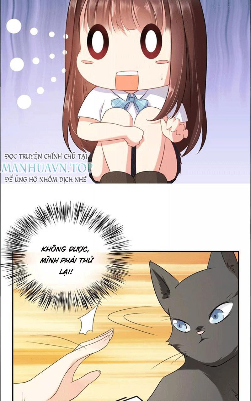 Bạn Cùng Bàn Của Tôi Nổi Tiếng Là Mèo Chapter 1 - Trang 2