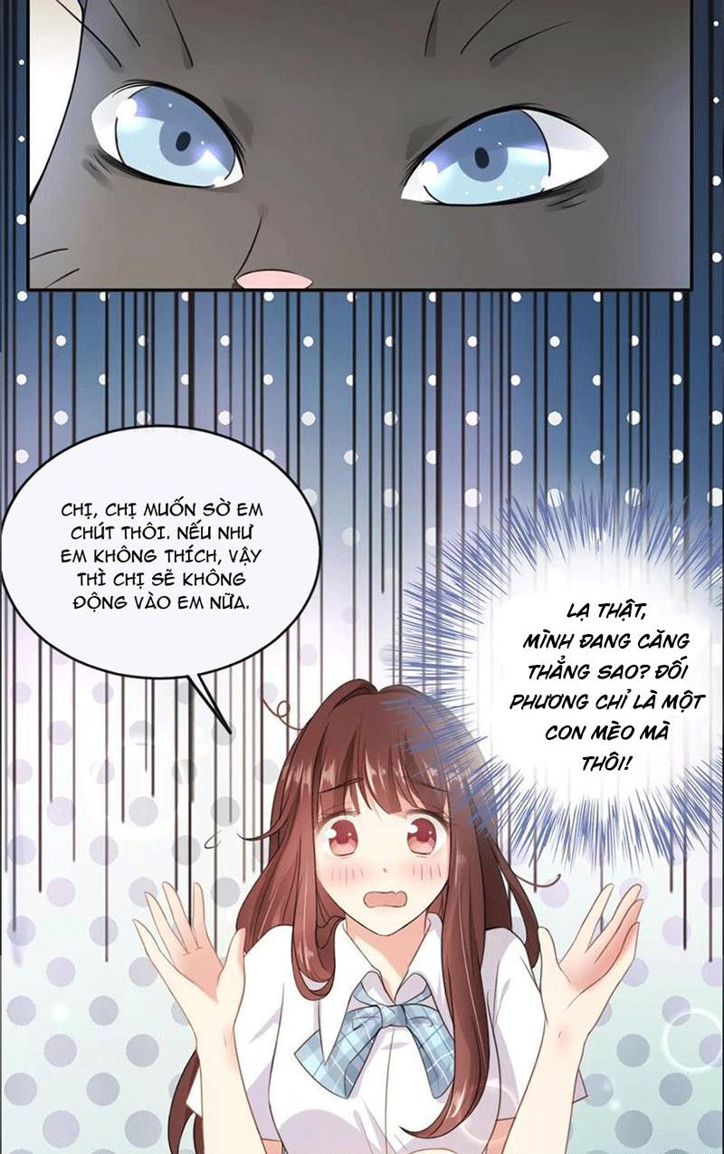 Bạn Cùng Bàn Của Tôi Nổi Tiếng Là Mèo Chapter 1 - Trang 2