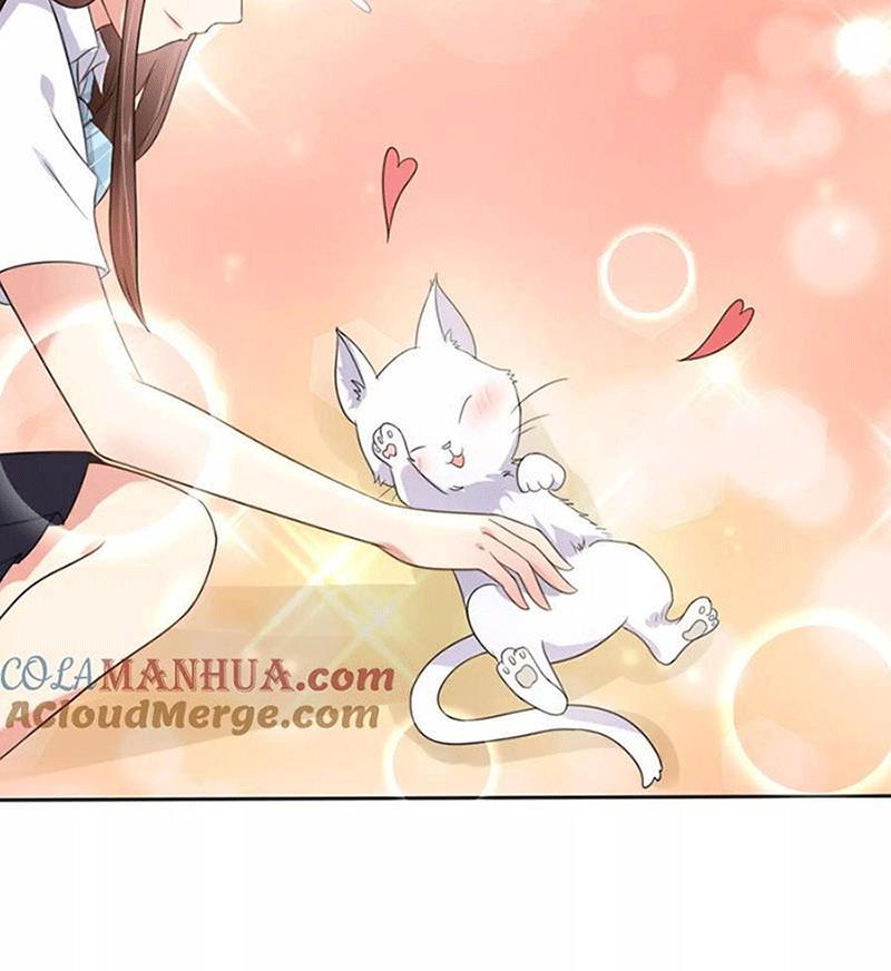 Bạn Cùng Bàn Của Tôi Nổi Tiếng Là Mèo Chapter 1 - Trang 2