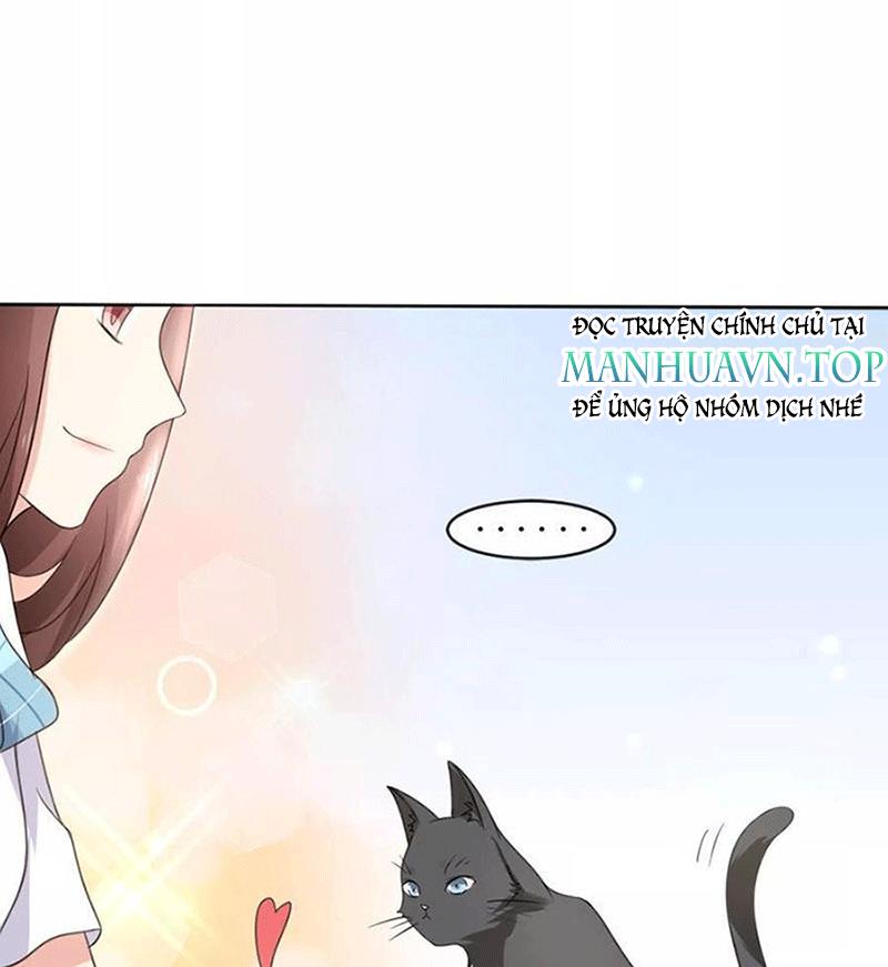 Bạn Cùng Bàn Của Tôi Nổi Tiếng Là Mèo Chapter 1 - Trang 2