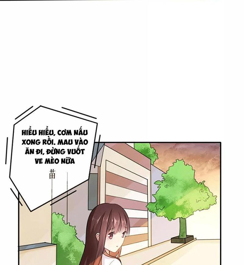 Bạn Cùng Bàn Của Tôi Nổi Tiếng Là Mèo Chapter 1 - Trang 2
