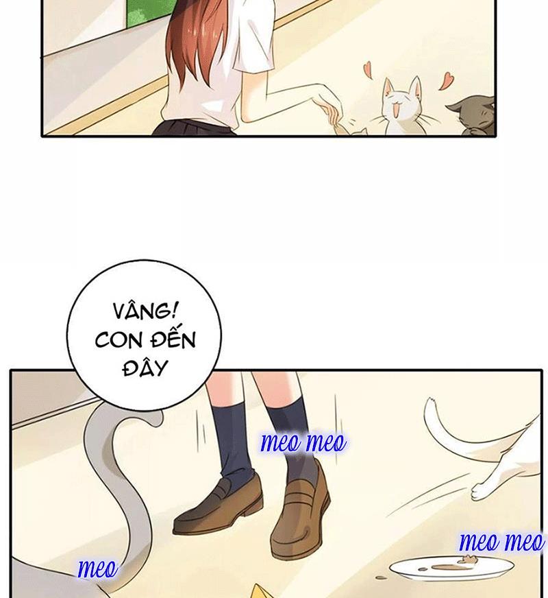 Bạn Cùng Bàn Của Tôi Nổi Tiếng Là Mèo Chapter 1 - Trang 2