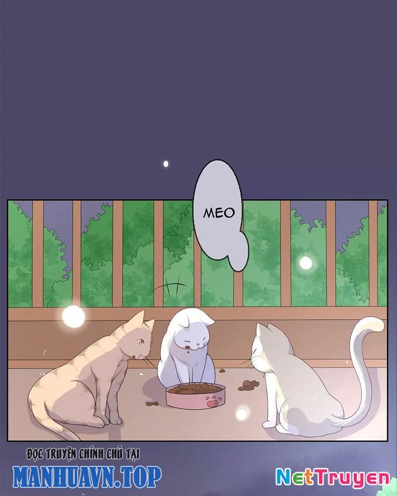 Bạn Cùng Bàn Của Tôi Nổi Tiếng Là Mèo Chapter 10 - Trang 2