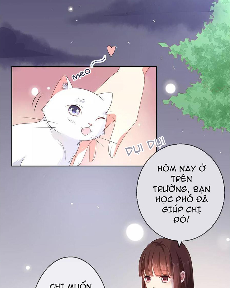 Bạn Cùng Bàn Của Tôi Nổi Tiếng Là Mèo Chapter 10 - Trang 2