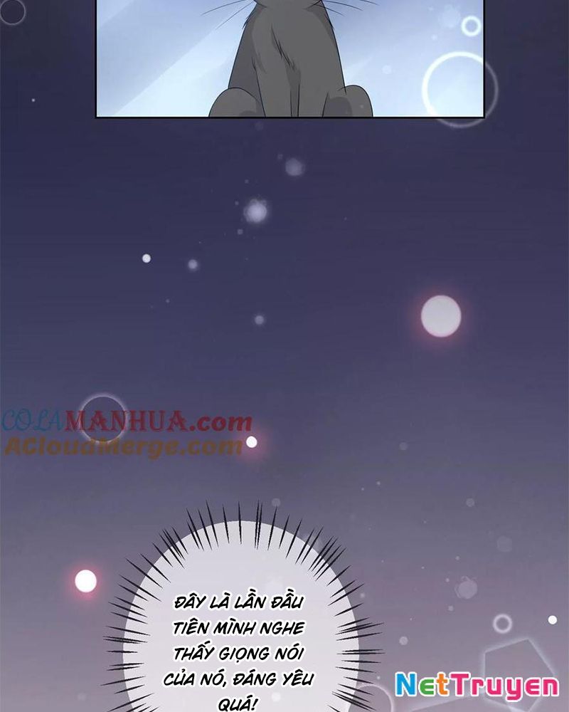 Bạn Cùng Bàn Của Tôi Nổi Tiếng Là Mèo Chapter 10 - Trang 2