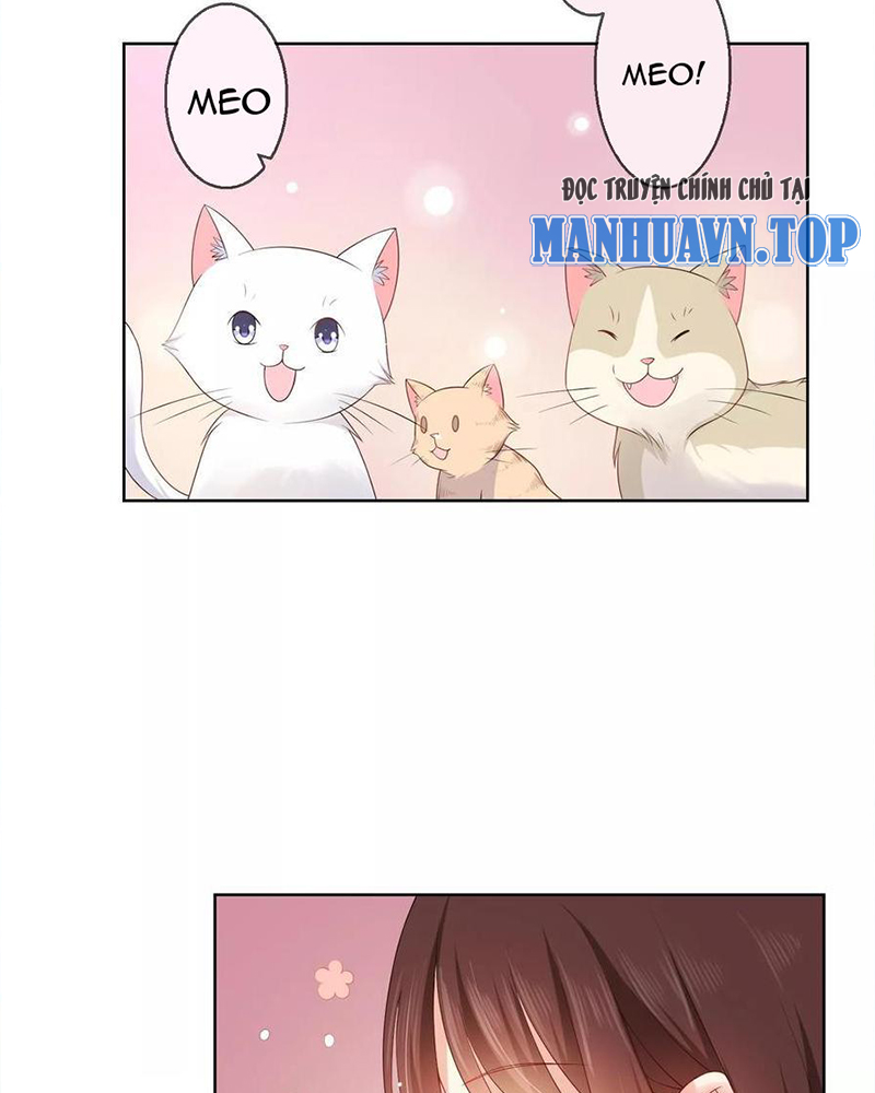 Bạn Cùng Bàn Của Tôi Nổi Tiếng Là Mèo Chapter 10 - Trang 2