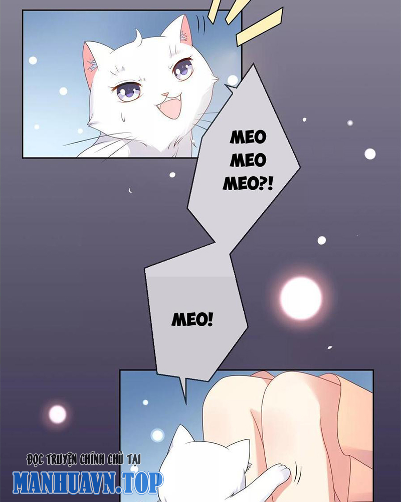 Bạn Cùng Bàn Của Tôi Nổi Tiếng Là Mèo Chapter 10 - Trang 2