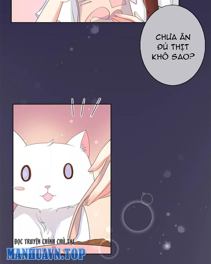 Bạn Cùng Bàn Của Tôi Nổi Tiếng Là Mèo Chapter 10 - Trang 2