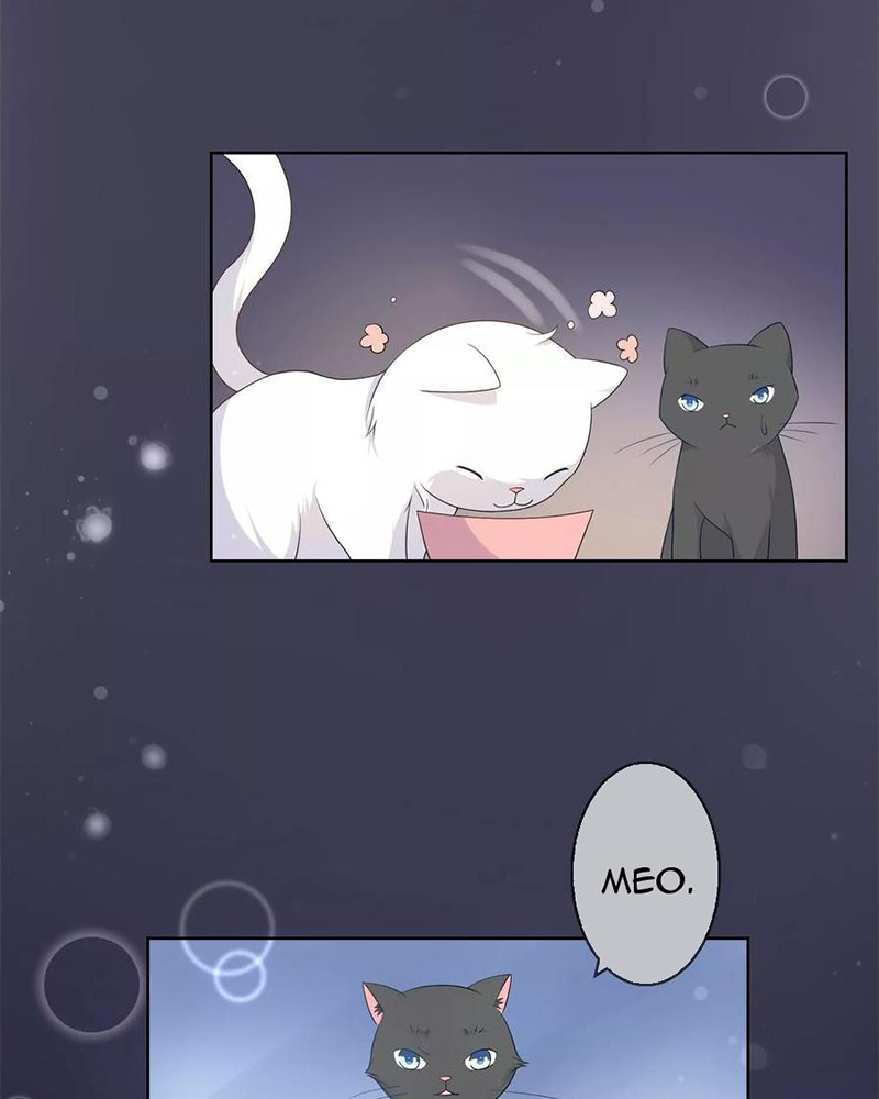 Bạn Cùng Bàn Của Tôi Nổi Tiếng Là Mèo Chapter 10 - Trang 2