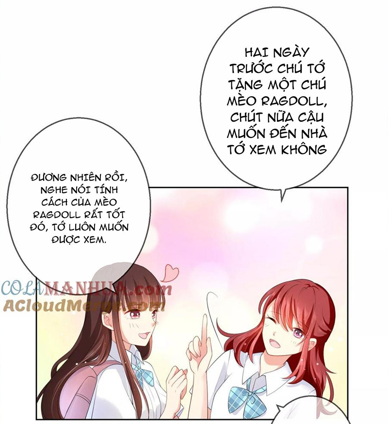 Bạn Cùng Bàn Của Tôi Nổi Tiếng Là Mèo Chapter 11 - Trang 2