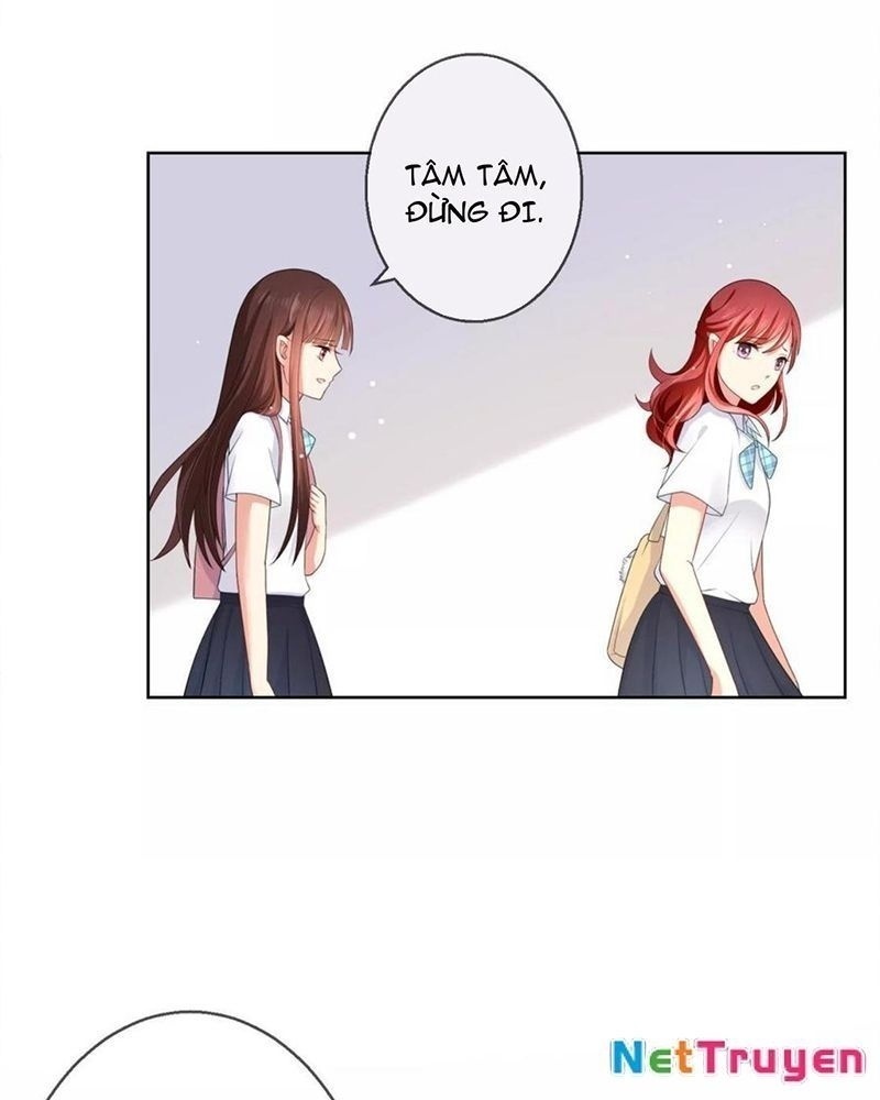 Bạn Cùng Bàn Của Tôi Nổi Tiếng Là Mèo Chapter 11 - Trang 2