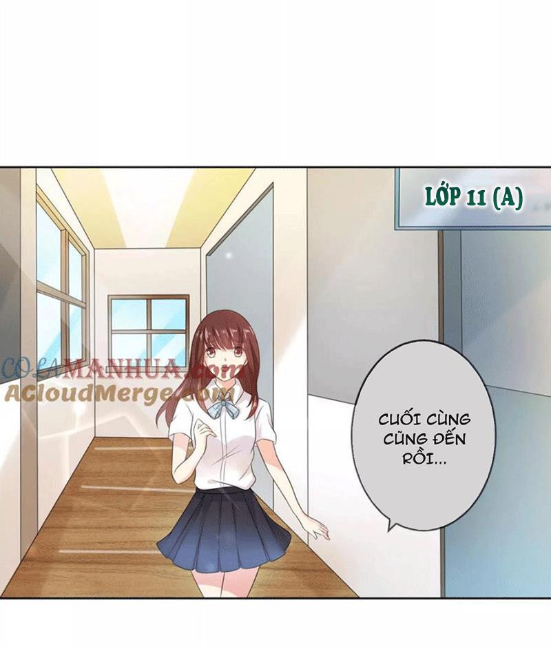 Bạn Cùng Bàn Của Tôi Nổi Tiếng Là Mèo Chapter 2 - Trang 2