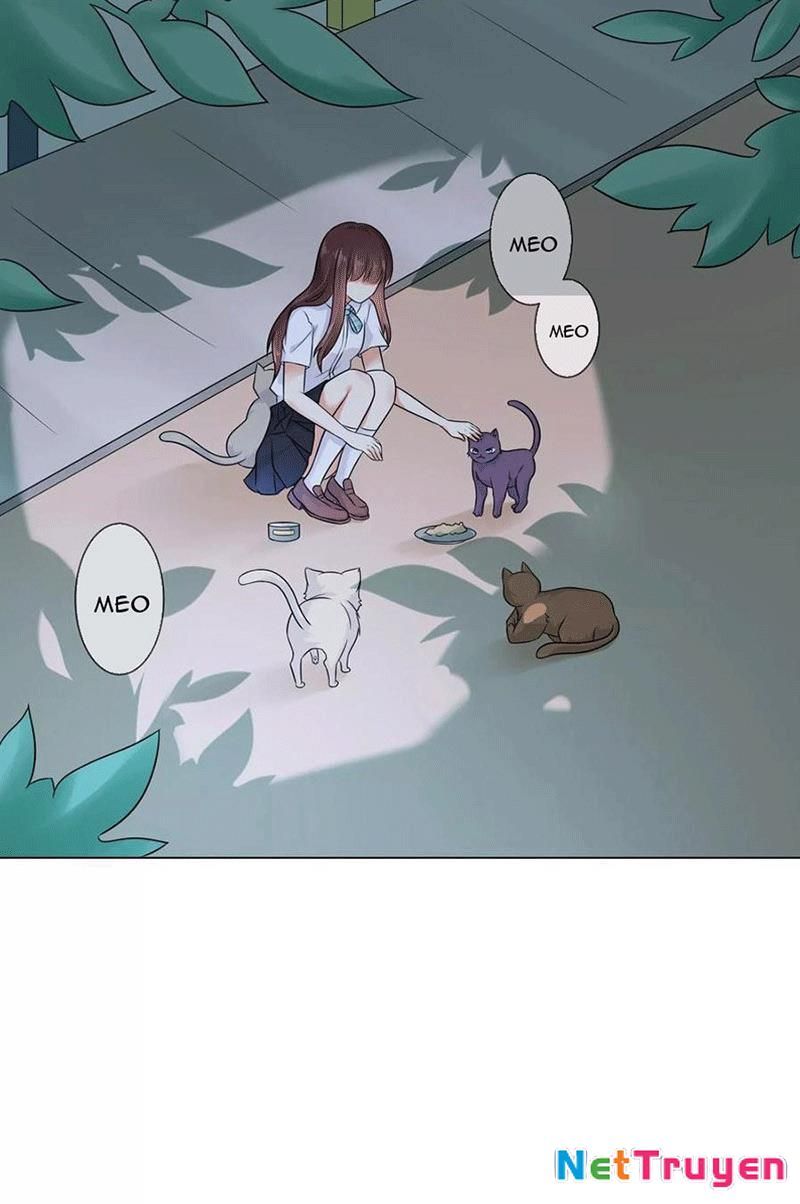Bạn Cùng Bàn Của Tôi Nổi Tiếng Là Mèo Chapter 3 - Trang 2