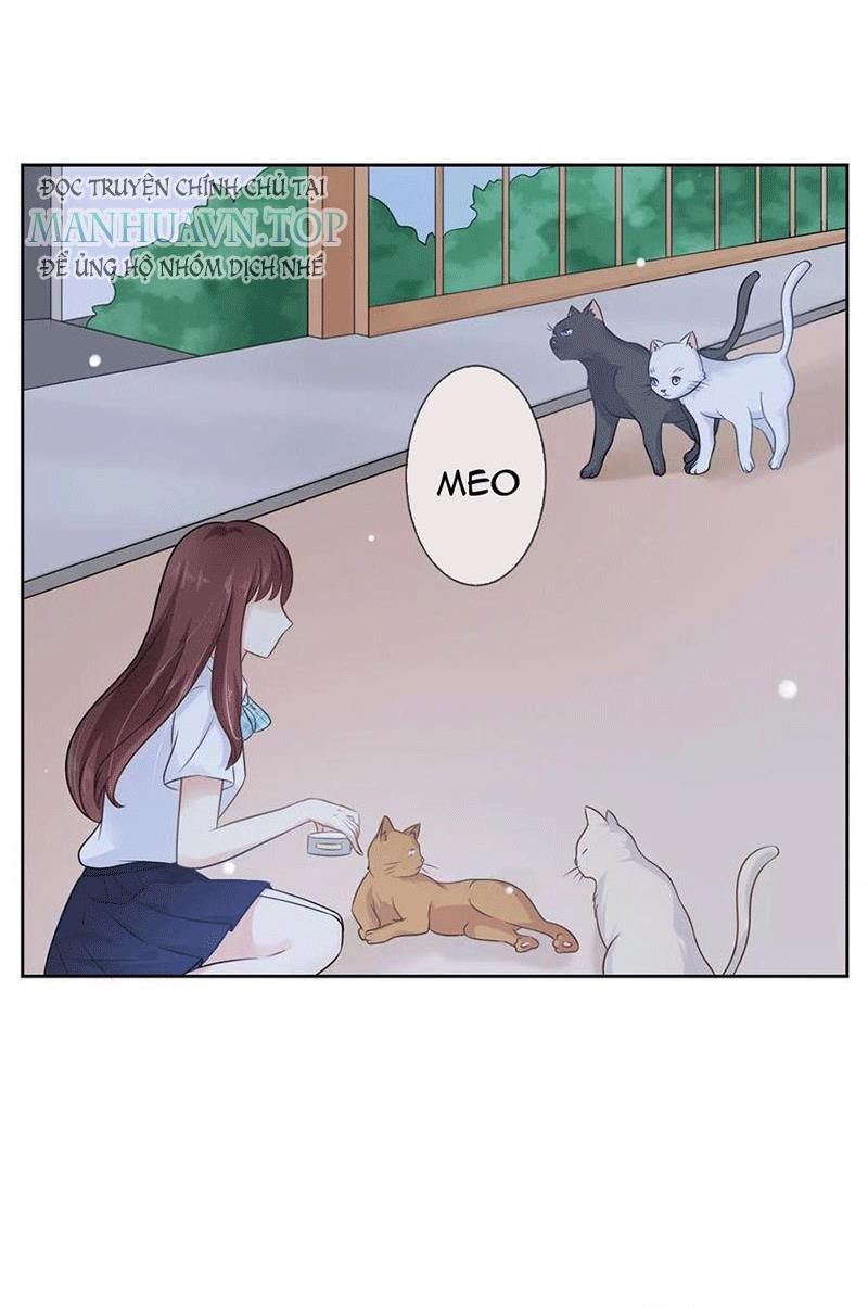 Bạn Cùng Bàn Của Tôi Nổi Tiếng Là Mèo Chapter 3 - Trang 2
