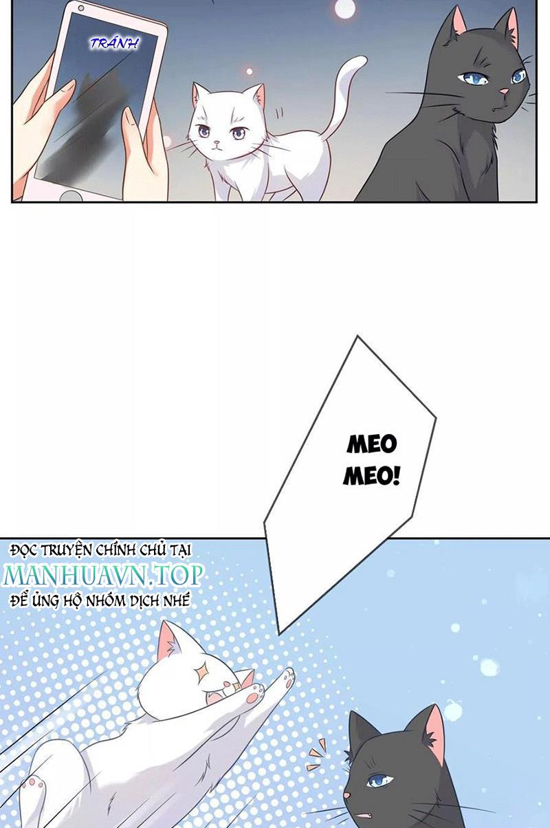 Bạn Cùng Bàn Của Tôi Nổi Tiếng Là Mèo Chapter 3 - Trang 2