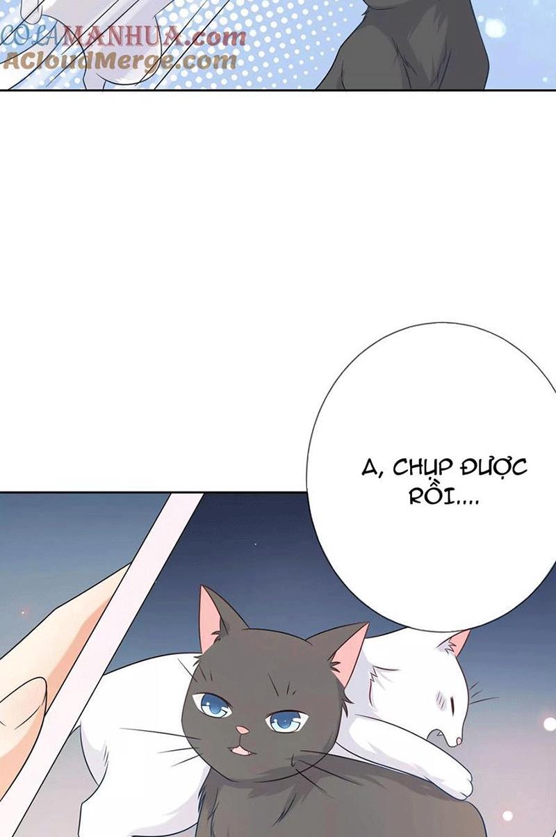Bạn Cùng Bàn Của Tôi Nổi Tiếng Là Mèo Chapter 3 - Trang 2