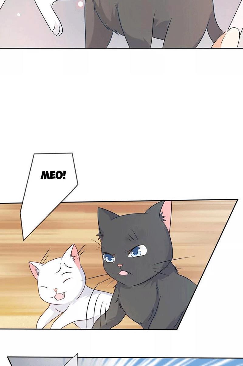 Bạn Cùng Bàn Của Tôi Nổi Tiếng Là Mèo Chapter 3 - Trang 2