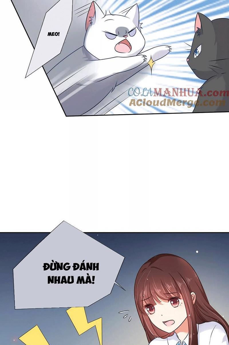 Bạn Cùng Bàn Của Tôi Nổi Tiếng Là Mèo Chapter 3 - Trang 2