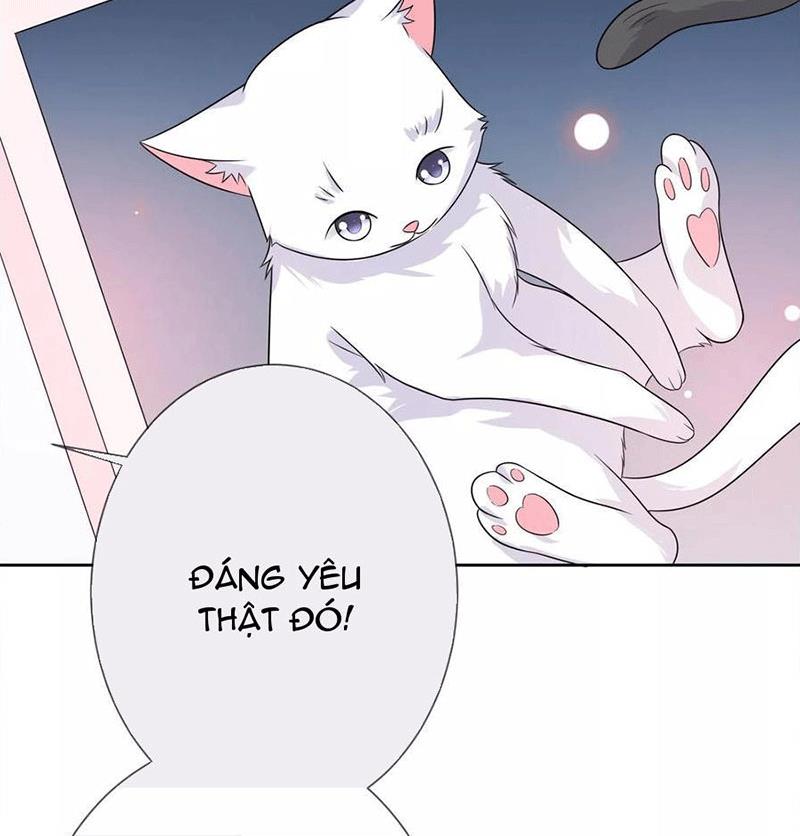 Bạn Cùng Bàn Của Tôi Nổi Tiếng Là Mèo Chapter 3 - Trang 2