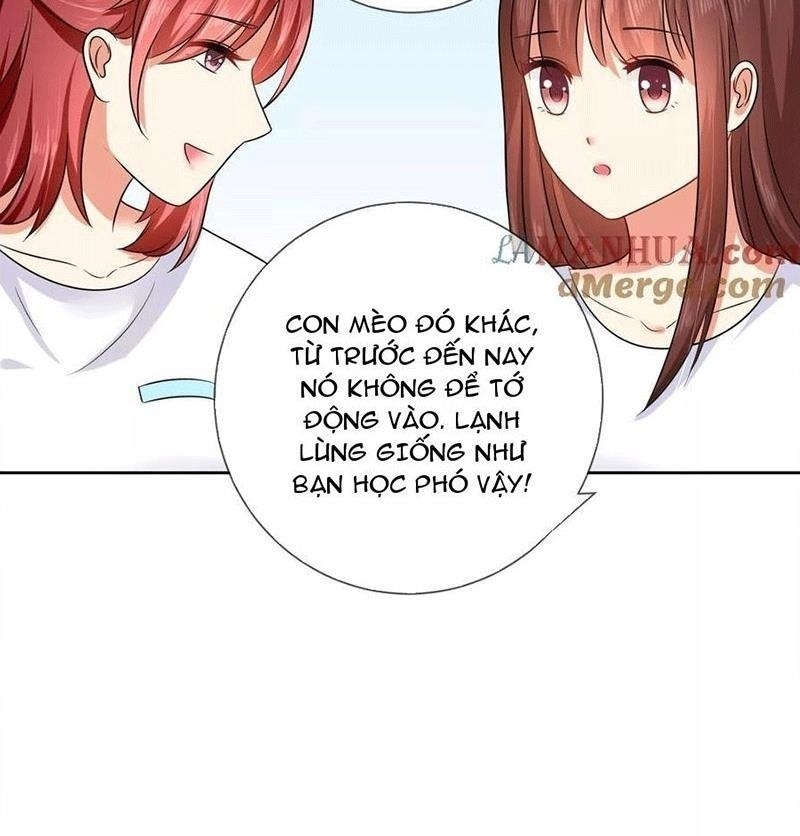 Bạn Cùng Bàn Của Tôi Nổi Tiếng Là Mèo Chapter 3 - Trang 2