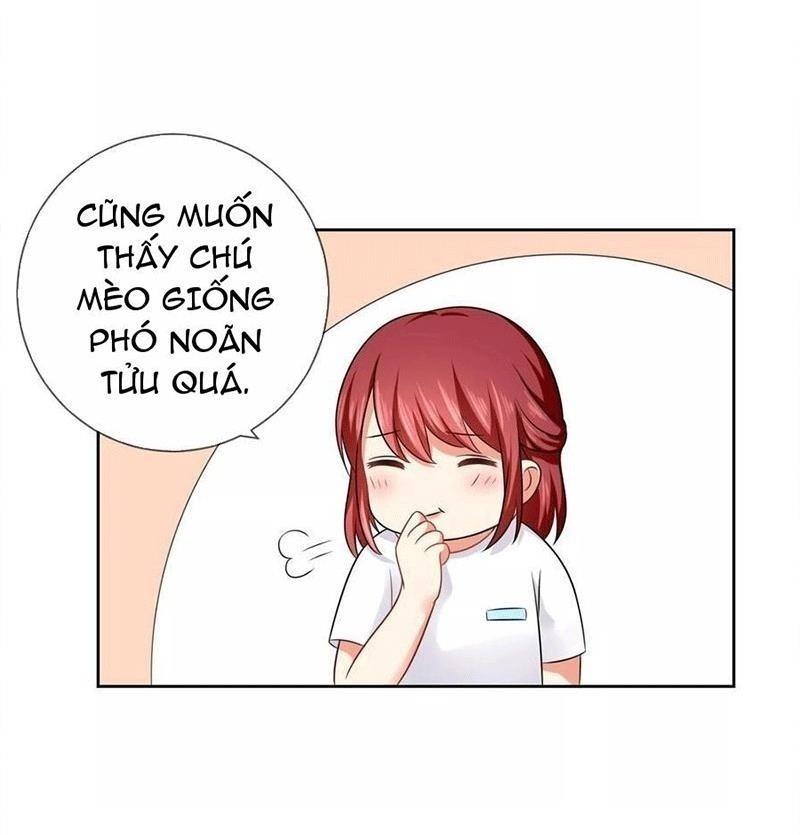 Bạn Cùng Bàn Của Tôi Nổi Tiếng Là Mèo Chapter 3 - Trang 2