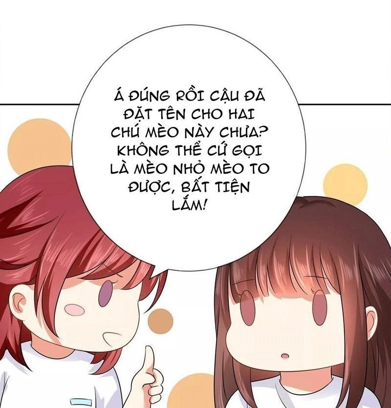 Bạn Cùng Bàn Của Tôi Nổi Tiếng Là Mèo Chapter 3 - Trang 2