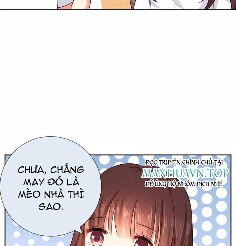 Bạn Cùng Bàn Của Tôi Nổi Tiếng Là Mèo Chapter 3 - Trang 2
