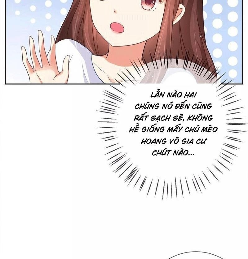 Bạn Cùng Bàn Của Tôi Nổi Tiếng Là Mèo Chapter 3 - Trang 2