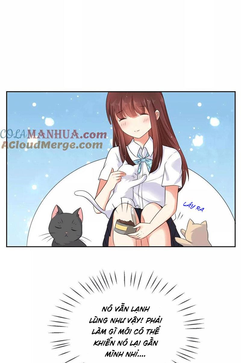 Bạn Cùng Bàn Của Tôi Nổi Tiếng Là Mèo Chapter 3 - Trang 2