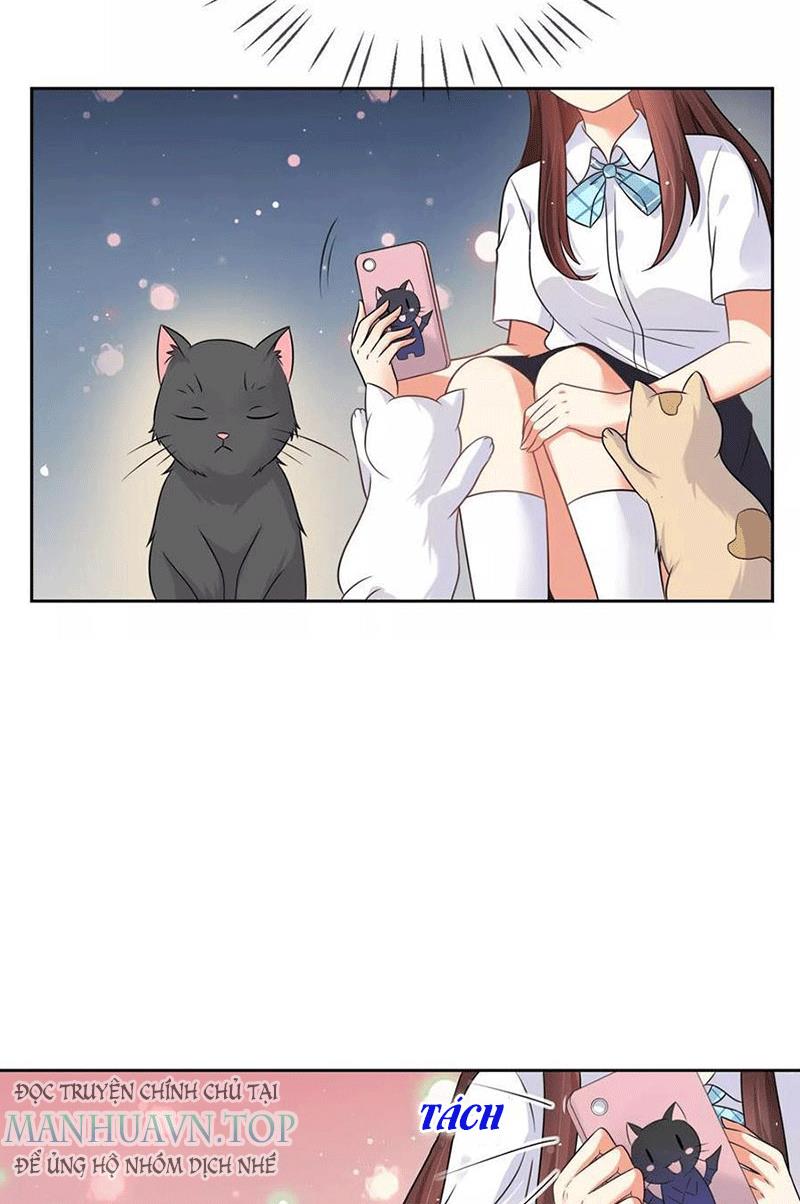 Bạn Cùng Bàn Của Tôi Nổi Tiếng Là Mèo Chapter 3 - Trang 2