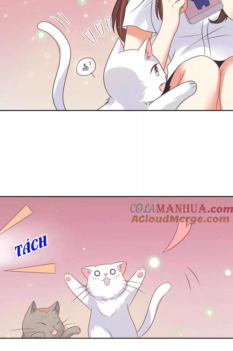 Bạn Cùng Bàn Của Tôi Nổi Tiếng Là Mèo Chapter 3 - Trang 2