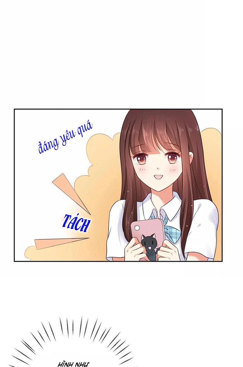 Bạn Cùng Bàn Của Tôi Nổi Tiếng Là Mèo Chapter 3 - Trang 2