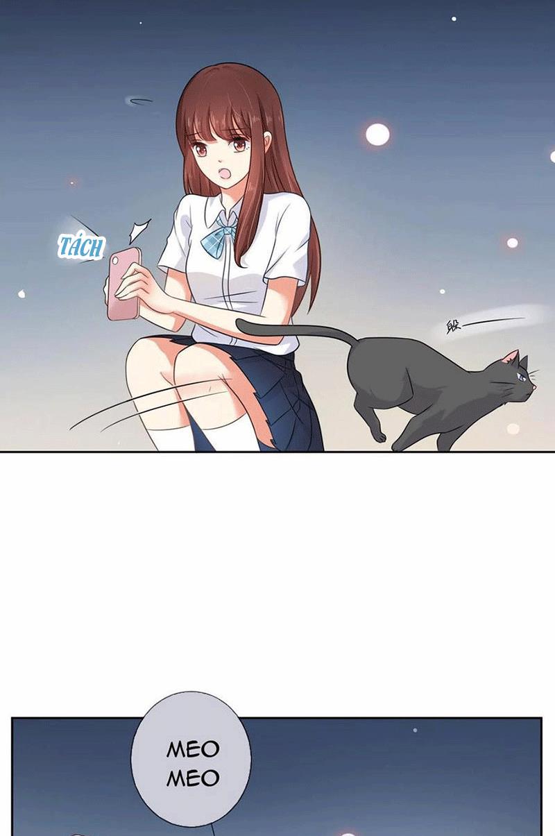 Bạn Cùng Bàn Của Tôi Nổi Tiếng Là Mèo Chapter 3 - Trang 2