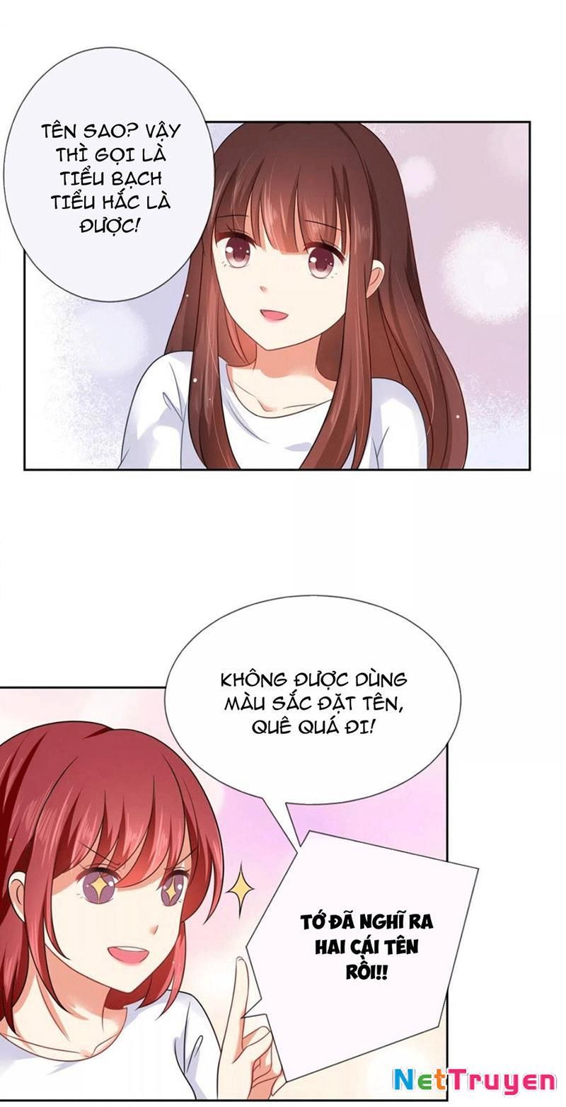 Bạn Cùng Bàn Của Tôi Nổi Tiếng Là Mèo Chapter 4 - Trang 2